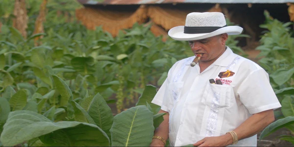 a latin man dressed in white with a cigar in his mount wearing a white short sleeve shirt and hat smoking a cigar in front of large green plants