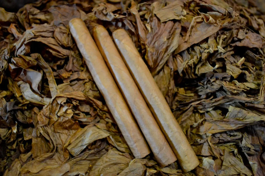This is a image of a stack of 1 to 5 cigars. They are layed on a of  Background feild of tabaco.