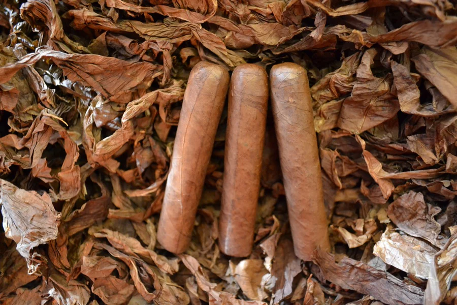 This is a image of a stack of 1 to 5 cigars. They are layed on a of  Background feild of tabaco.