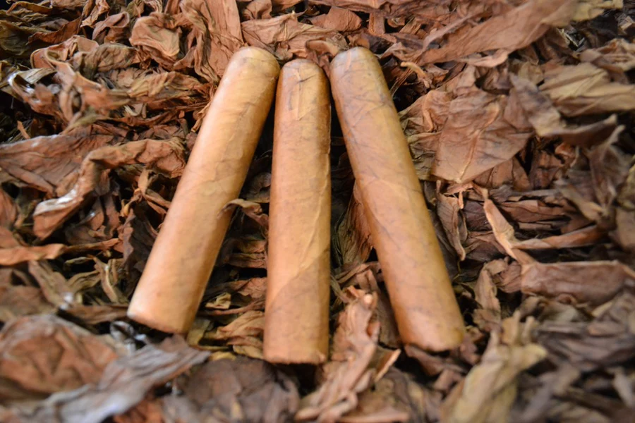 This is a image of a stack of 1 to 5 cigars. They are layed on a of  Background feild of tabaco.